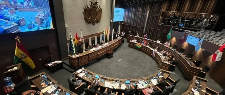 Senadores aprueba crédito de hasta $us 250 millones del BID y lo remite al Ejecutivo para su promulgación